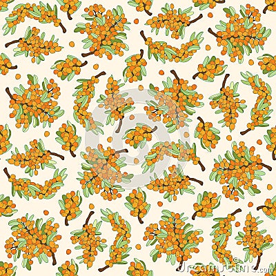 Natural organic sea buckthorn seamless pattern. Vector outline drawn illustration Vector Illustration