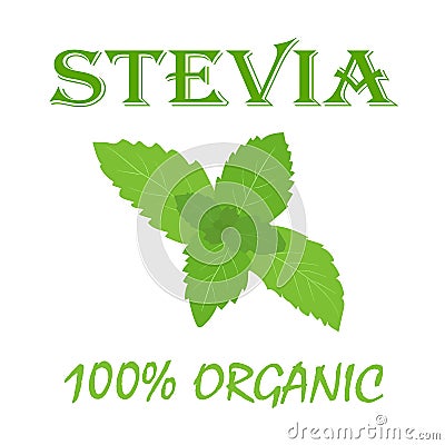 Natural organic stevia banner. Vector illustration in flat style. Vector Illustration