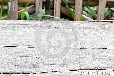 Natural organic wood background texture. Wood pattern. Stock Photo