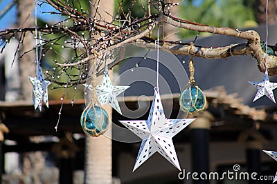 Natural original Christmas ornaments hanging in trees Stock Photo