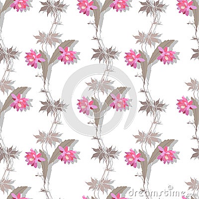 Natural ornament with luxury pink cactus flowers and branchs of virgin vine on white background in vector. Seamless print Vector Illustration