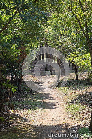 Natural path Stock Photo