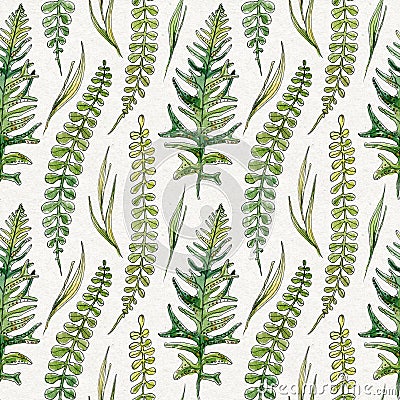 Seamless pattern of hand-drawn watercolor sketch elements fern and grass. Evergreen woodland plants. Simple natiral Stock Photo