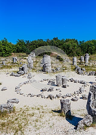 The natural phenomenon Pobiti Kamani, known as The Stone Forest Editorial Stock Photo