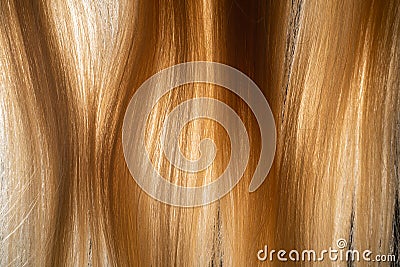 Natural piece locks of white smooth hair illuminated by light. Women's well groomed combed blond hair. Macro Stock Photo