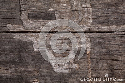 Natural piece of wooden background Stock Photo