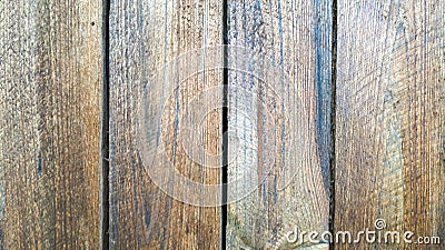 Natural pine wood texture for background Stock Photo