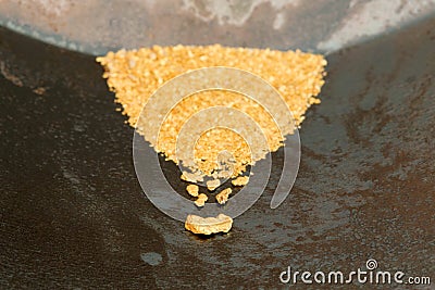 Natural Placer Gold Stock Photo