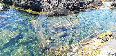 Natural pool of Biscoitos, in Terceira Island, Azores Stock Photo