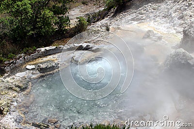 Natural pool with hot sulphide springs in the town of Furnas on the island of San Miguel. Stock Photo