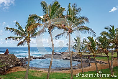 Natural pool surrounded by palm trees, in Hanga Roa, Easter Island Stock Photo