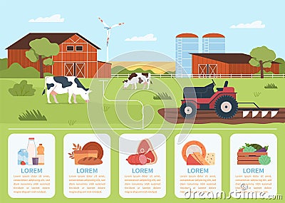 Natural production infographic. Farm manufacturing poster, agricultural industry, fresh healthy dairy, meat and milk Vector Illustration