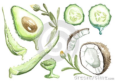 Natural products in moisturizing skin care products. Cartoon Illustration