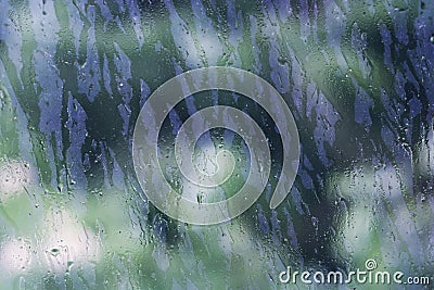 Natural rain drops on window glass Stock Photo
