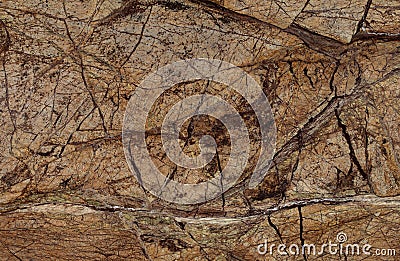 Natural Rain Forest Brown marble texture Stock Photo