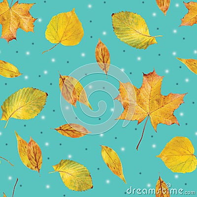 Natural real autumn leaves repeated pattern seamless wallpaper on teal background Stock Photo