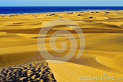 Natural Reserve of Dunes of Maspalomas, in Gran Ca Stock Photo