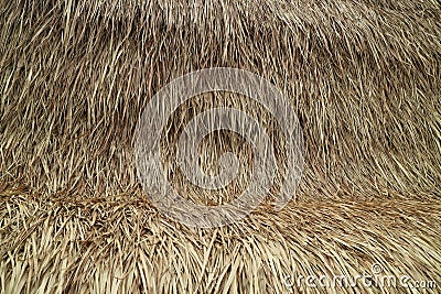 Natural roof tiles made of straw Stock Photo