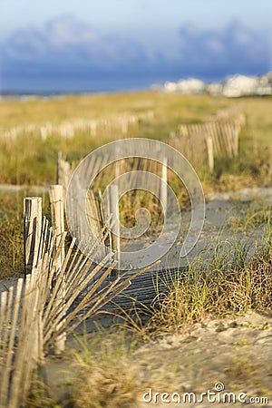 Natural sand dune beach area. Stock Photo