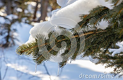 The natural scene in the Rocky Mountains National Park, Colorado Stock Photo