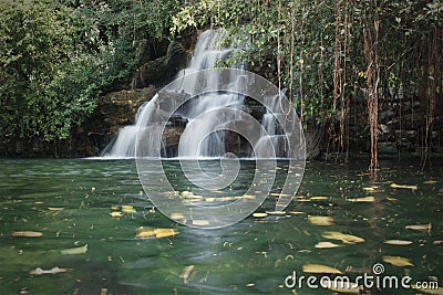 The tiny waterfall and the green water pond in the forest Stock Photo