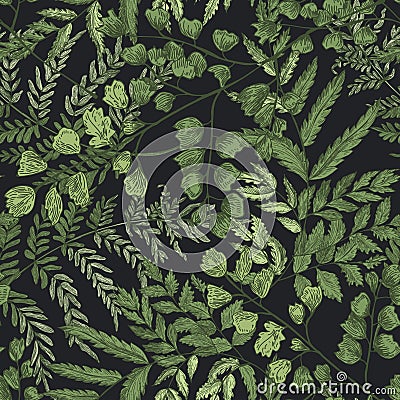 Natural seamless pattern with ferns and green herbaceous plants on black background. Gorgeous backdrop with wild forest Cartoon Illustration