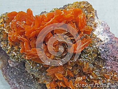 Natural shapes. Minerals and semi-precious stones textures and backgrounds Stock Photo