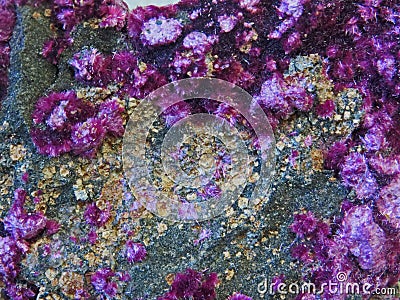 Natural shapes. Minerals and semi-precious stones textures and backgrounds Stock Photo