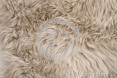Natural sheepskin rug background sheep fur Stock Photo