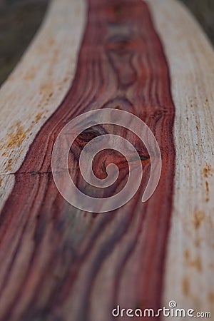 Natural Siamese Rosewood timber Stock Photo