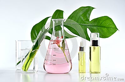 Natural skin care beauty products, Natural organic botany extraction and scientific glassware Stock Photo