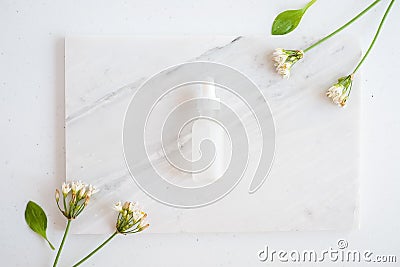 Natural skincare on marble background with flower, leaf and pestle mortar . cosmetic beauty background Stock Photo