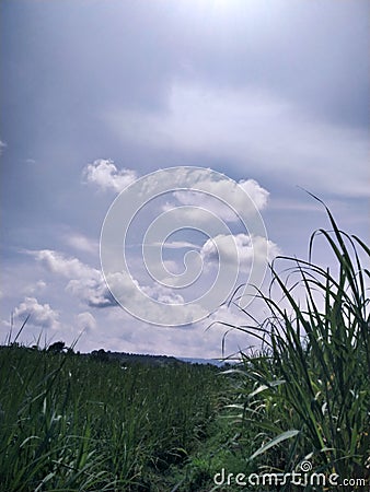 Natural sky sunshine morning time Editorial Stock Photo