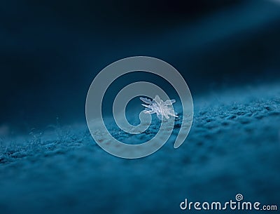 Snowflake on soft woolen knitted fabric in a ray of light Stock Photo