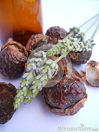 Natural Soap Nuts with Lavender and Bottle Stock Photo