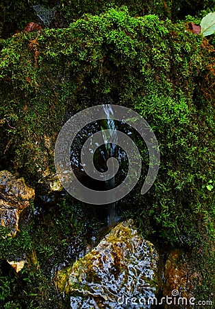 Creek on the rocks Stock Photo