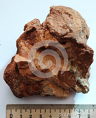 Natural specimen of argillite claystone rock Stock Photo