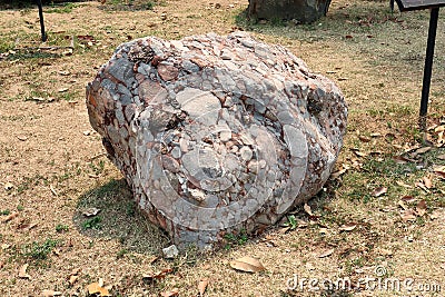 Natural specimen of conglomerate - sedimentary rock composed of rounded or sub-rounded gravel and pebbles cemented by calcium Stock Photo