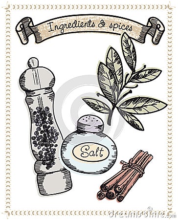 Natural spices Vector Illustration