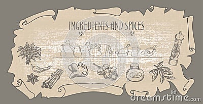 Natural spices Vector Illustration