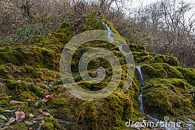 Natural spring with mineral drinking water in the wild with stones overgrown with moss. Background or backdrop Stock Photo