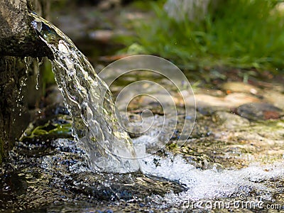 Natural spring water at forest Stock Photo