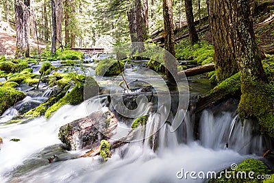 Natural spring water Stock Photo