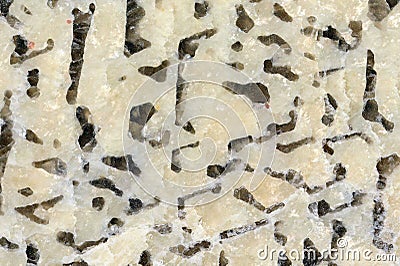 Natural stone texture. Pegmatite. Stock Photo