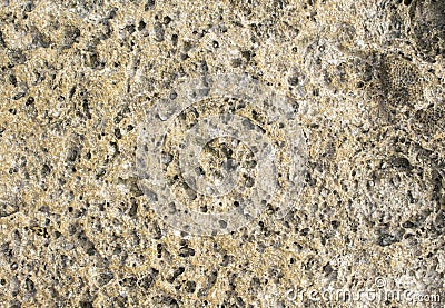 Natural stone texture photo background. Volcanic stone texture. Stock Photo