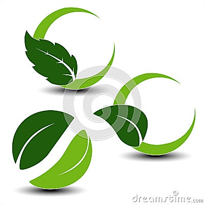 Natural symbols with leaf Vector Illustration