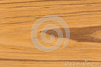 Natural teak wood background texture on macro. Stock Photo