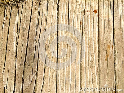 Natural texture of ancient wood Stock Photo