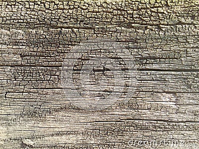 Natural texture of ancient wood Stock Photo