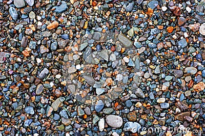 Natural texture. Pebbles. Variant one. Stock Photo